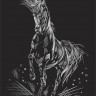 Hobbius SGHK.59 Набор для творчества "Гравюра. Лошадь" (серебро)
