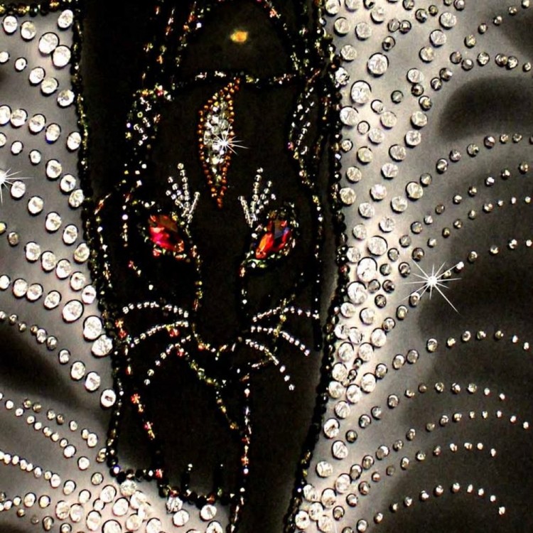 Набор для вышивания Образа в каменьях 5523 Черная пантера