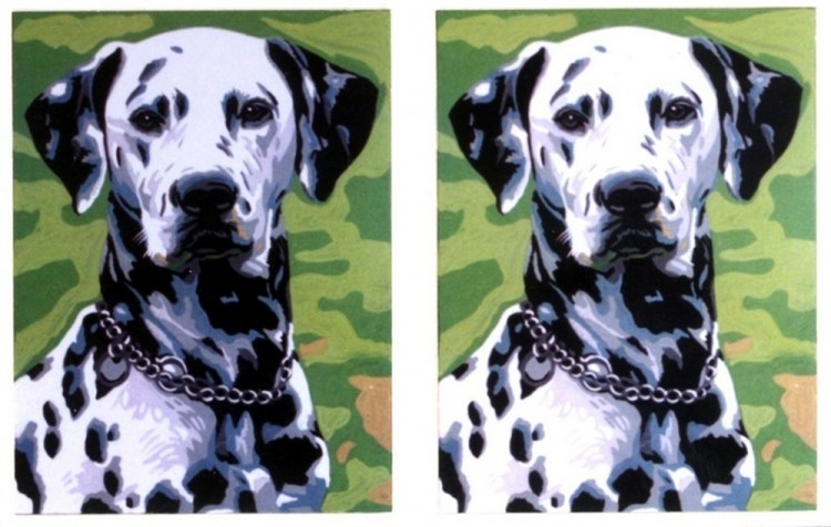 Gobelin Diamant 15.286 Далматины