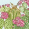 Набор для вышивания Bothy Threads XFY10 Cactus Garden (Кактусовый сад)