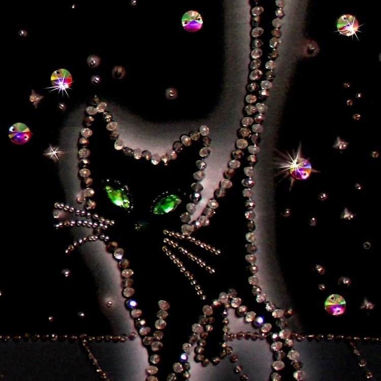 Набор для вышивания Образа в каменьях 5524 Соло на крыше