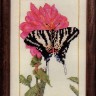 Набор для вышивания Cross My Heart CSK-220 Zebra Swallowtail (Ласточкин хвост зебры)