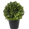 Fiebiger Floristik 108642-800 Цветок декоративный "Самшит"