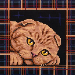 Фрея ALBP-293 Шотландская кошка