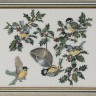 Набор для вышивания Eva Rosenstand 12-451 Птицы и остролист
