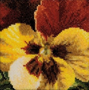 Thea Gouverneur 462A Pansy (Анютины глазки)