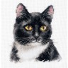 Набор для вышивания Алиса 1-37 Черный кот