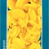 Prym 393107 Кнопки "Color Snaps", диаметр 12.4мм