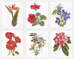 Thea Gouverneur 3081 Six Floral Studies
