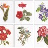 Набор для вышивания Thea Gouverneur 3081 Six Floral Studies