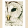 Набор для вышивания Lanarte PN-0163781 Owl