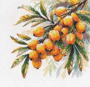 Овен 1734 Веточка облепихи