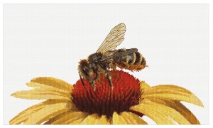 Thea Gouverneur 585 Bee on yellow flower (Пчела на желтом цветке)