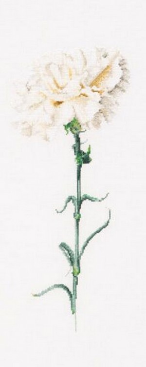 Thea Gouverneur 466A Carnation White (Белая гвоздика)