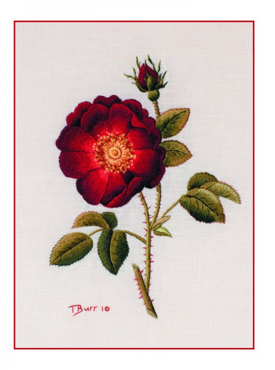 Оттеночное вышивание гладью. Мотивы с цветами и птицами