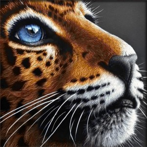 Алмазная живопись АЖ-4022 Синеглазый леопард