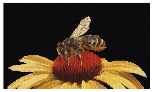 Thea Gouverneur 585.05 Bee on yellow flower (Пчела на желтом цветке)