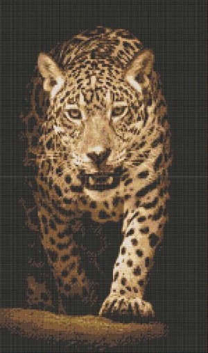 Каролинка КТКН 141 Хищники. Леопард