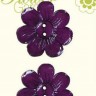 Blumenthal Lansing 480004820 Пуговицы "Flower Garden"