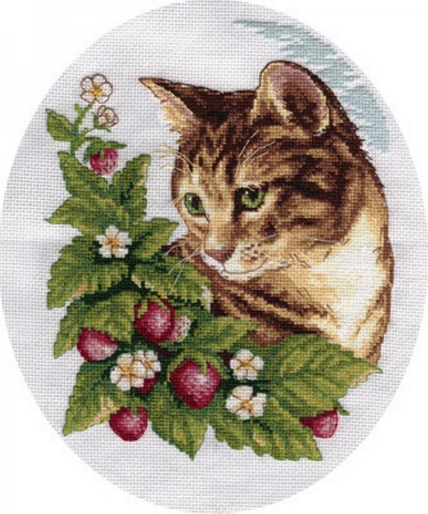 Набор для вышивания Кларт 8-174 Кошка в клубнике