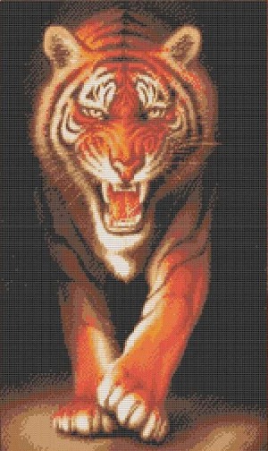 Каролинка КТКН 142 Хищники. Тигр