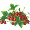 Каролинка ТКБЦ 2007 Натюрморт с клубникой