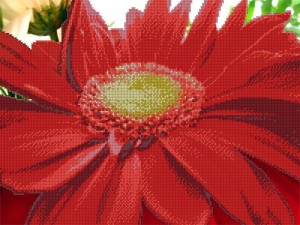 Астрея (Глурия) 70206 Красный цветок