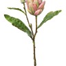 Fiebiger Floristik 158218-708 Цветок декоративный "Артишок"