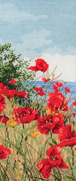 Maia APC416 Clifftop Poppies View (Вид на маки со скалы)