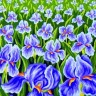 Collection D'Art 8047 Ткань с рисунком для вышивания