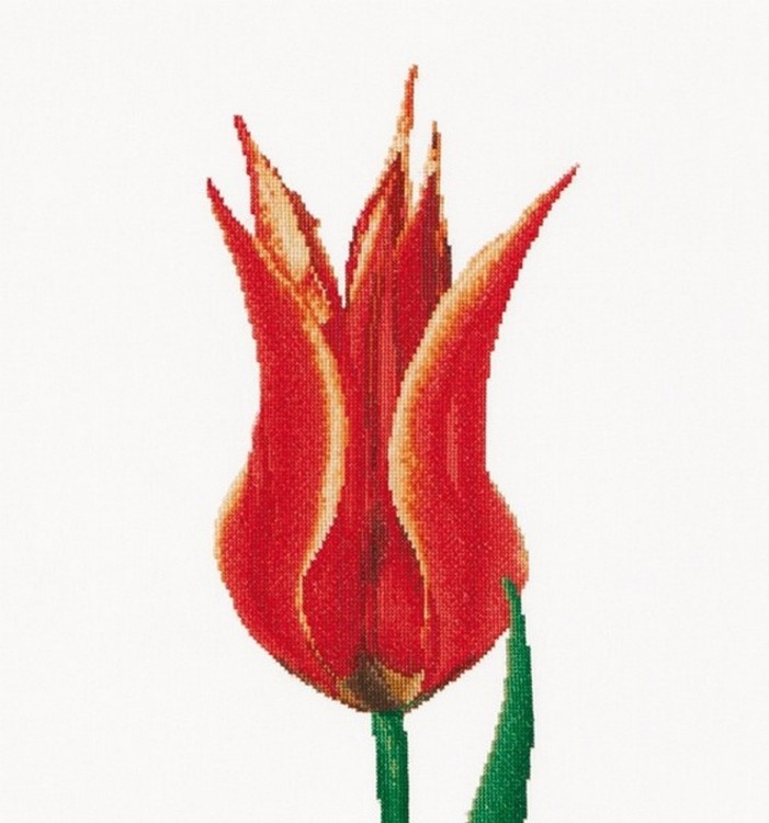 Набор для вышивания Thea Gouverneur 515 Red/Yellow Lily flowering tulip (Красно-желтый лилиецветный тюльпан)
