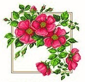 Матренин Посад 1351 Добрый день