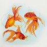 Фрея ALVR-207 Золотые рыбки
