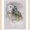 Набор для вышивания Lanarte PN-0183826 Snowy Owl
