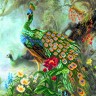 Матренин Посад 4184 Павлины