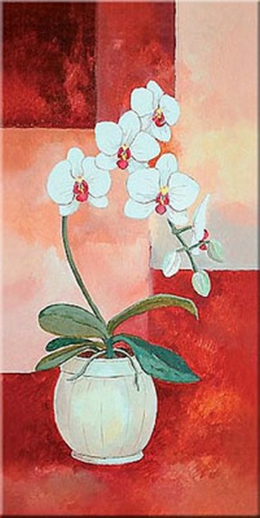 Набор для вышивания Schaefer 596/24 Орхидея
