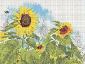 Каролинка ТКБЦ 3032 Подсолнухи
