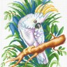 М.П.Студия СК-116 Белый попугай