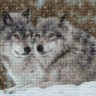 Набор для вышивания Luca-S B2291 Два волка