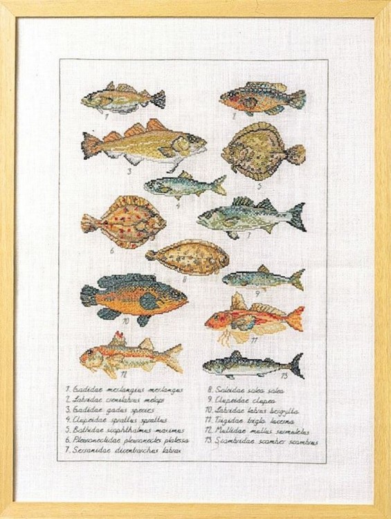 Набор для вышивания Permin 70-6408 Fish (Рыба)
