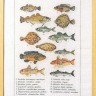 Набор для вышивания Permin 70-6408 Fish (Рыба)