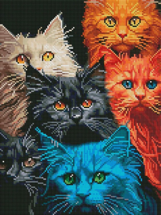 Белоснежка 007-DM Котовасия