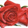 Набор для вышивания Белоснежка 7530-РК Красные розы