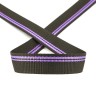 PEGA 836741625DP002 Тесьма ременная (стропа), цвет черная с фиолетовыми полосами