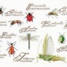 Набор для вышивания Thea Gouverneur 3029 Insect Panel (Насекомые)