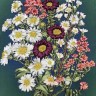 Набор для вышивания Каролинка КЛ(Н)-4003 Полевые цветы