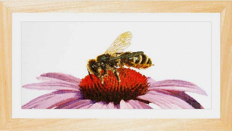Thea Gouverneur 549 Bee on Echinacea (Пчела на эхинацее)