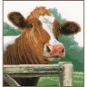 Набор для вышивания Lanarte PN-0170989 Wondering cow (Удивленная корова)