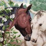 Набор для вышивания Марья Искусница 03.014.23 Пара лошадей