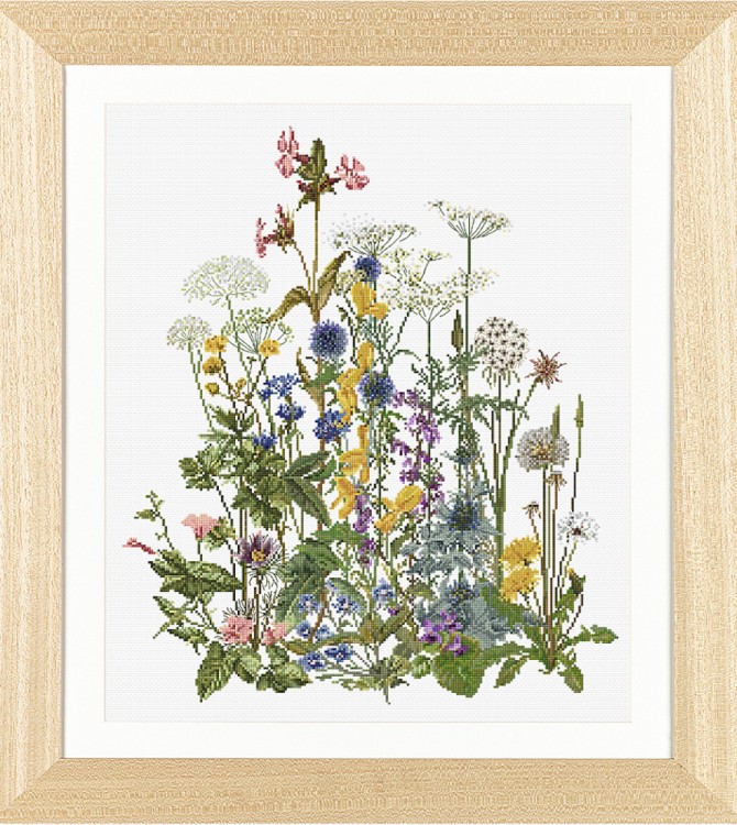 Набор для вышивания Thea Gouverneur 583A Wild flowers of garden (Дикие цветы сада)